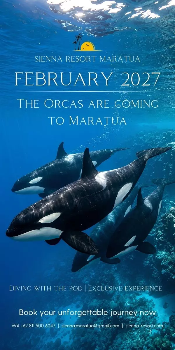 scuba dive promo at maratua islan