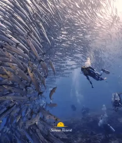 What Is a PADI Dive Resort? A Complete Guide for Planning a Dive Holiday