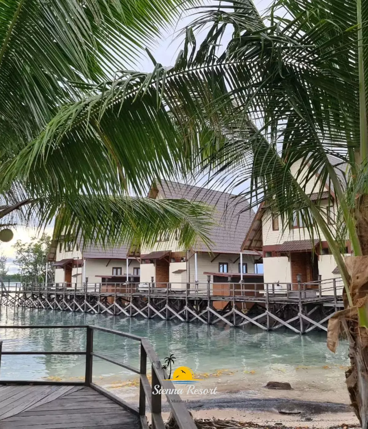 Best Time to Visit Maratua Island: Weather, Diving, Snorkeling & Marine Life