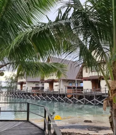 Best Time to Visit Maratua Island: Weather, Diving, Snorkeling & Marine Life