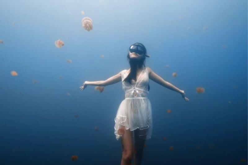 Snorkel with Stingless Jellyfish Snorkel with Stingless Jellyfish