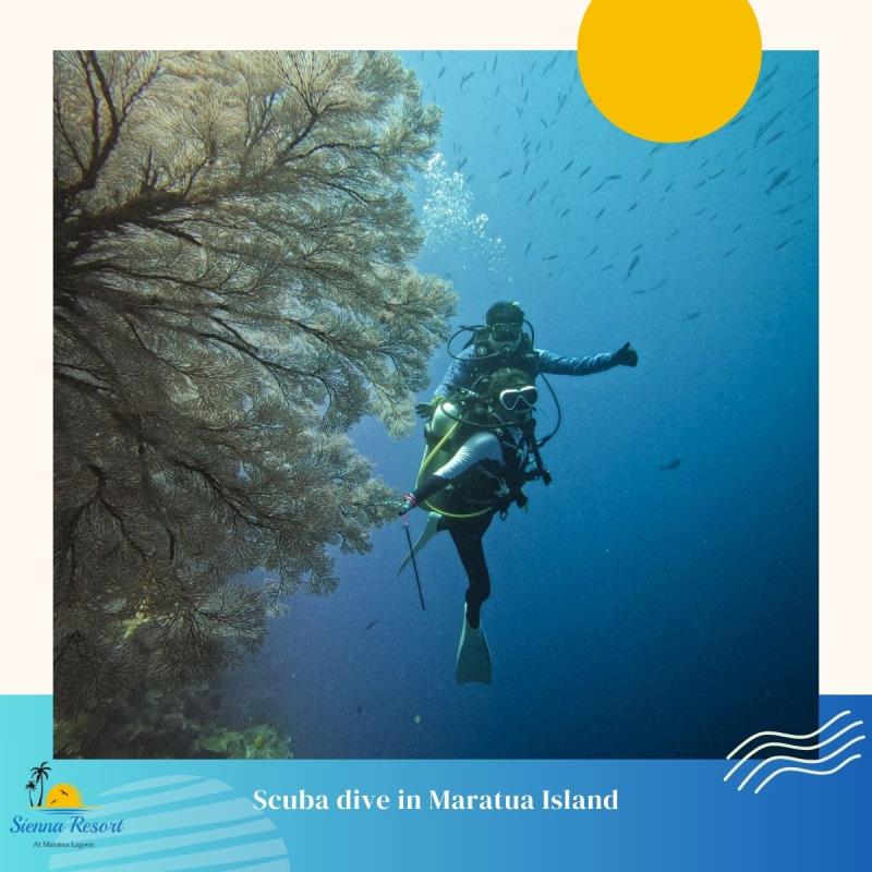 Best Diving Seasons in Indonesia