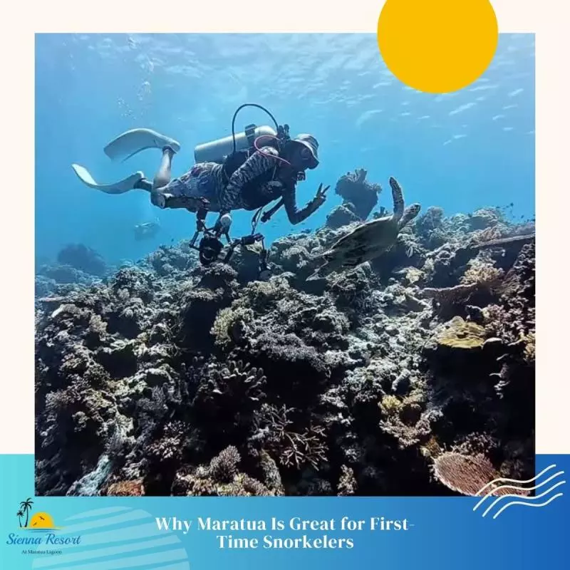 Why Maratua Is Great for First-Time Snorkelers