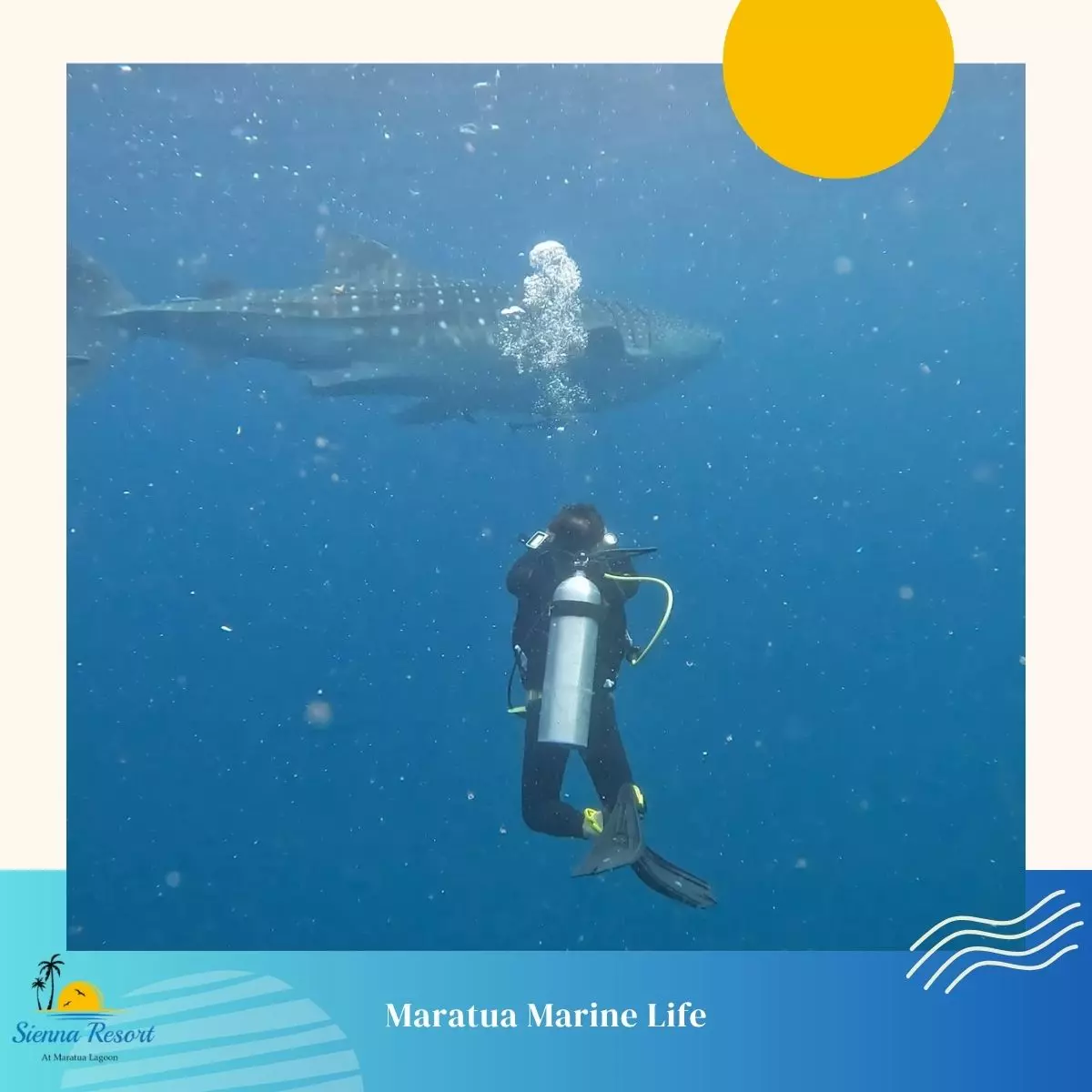 What About Marine Life?
