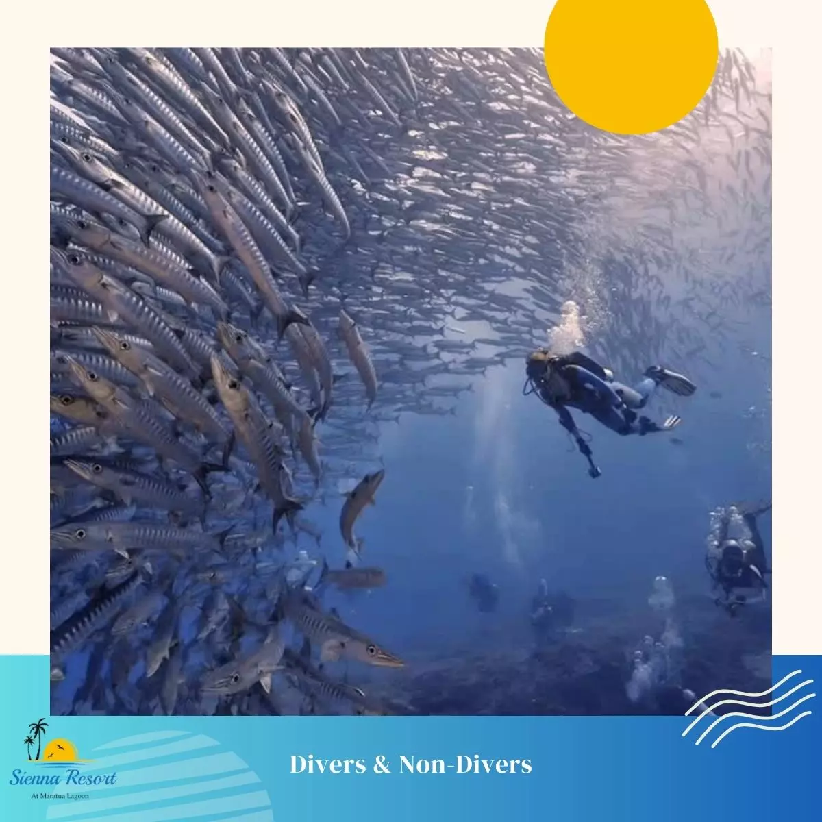 Can Divers and Non-Divers Travel to Maratua Together?