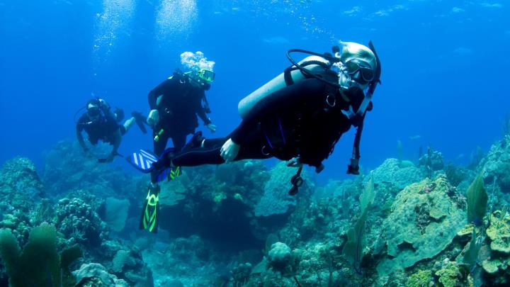 discover scuba diving 17025018917